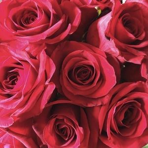 Meet your Posher, Follow4follow